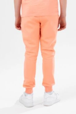HYPE PEACH KIDS OVERHEAD HOODIE & JOGGERS SET -Hype TWBT 773 4