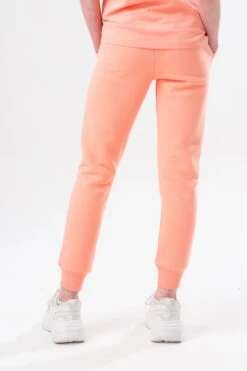 HYPE PEACH KIDS OVERHEAD HOODIE & JOGGERS SET -Hype TWBT 773back