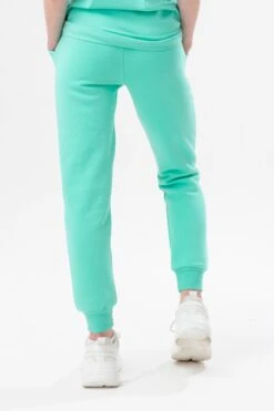 HYPE MINT KIDS OVERHEAD HOODIE & JOGGERS SET 26 HYPE MINT KIDS OVERHEAD HOODIE & JOGGERS SET -Hype TWBT 775BACK